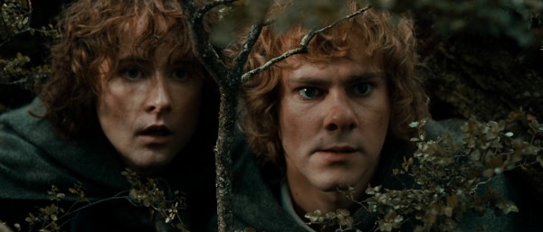 merry and pippin
